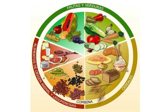 “Alimentos que debemos integrar a nuestra DIETA”